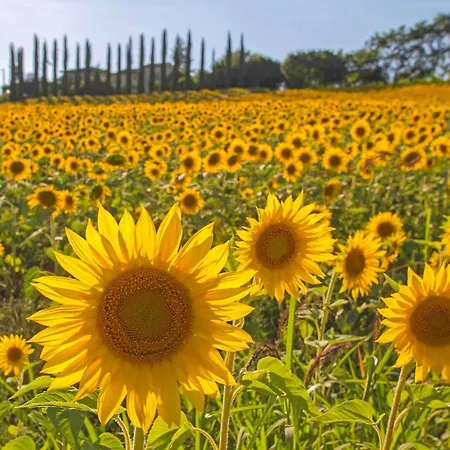 Semesterbostad Le Caselle