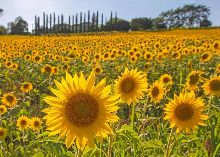 Holiday home Le Caselle